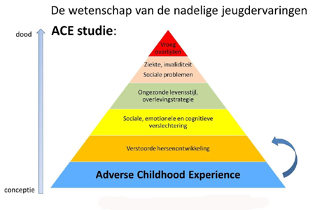ACE studies - trauma-kindermishandeling-jeugdervaringen